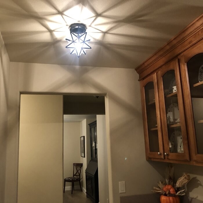 Holleman 1 - Light 12''