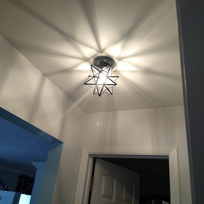 Holleman 1 - Light 12''