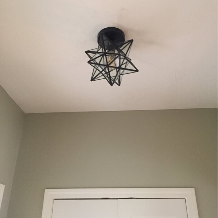 Holleman 1 - Light 12''