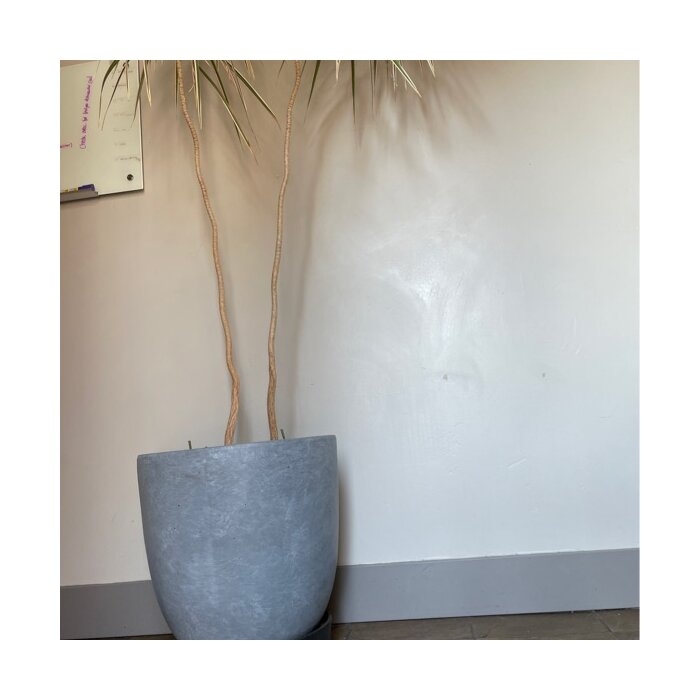 Karola Concrete Pot Planter