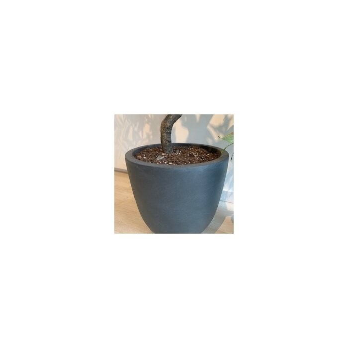 Karola Concrete Pot Planter