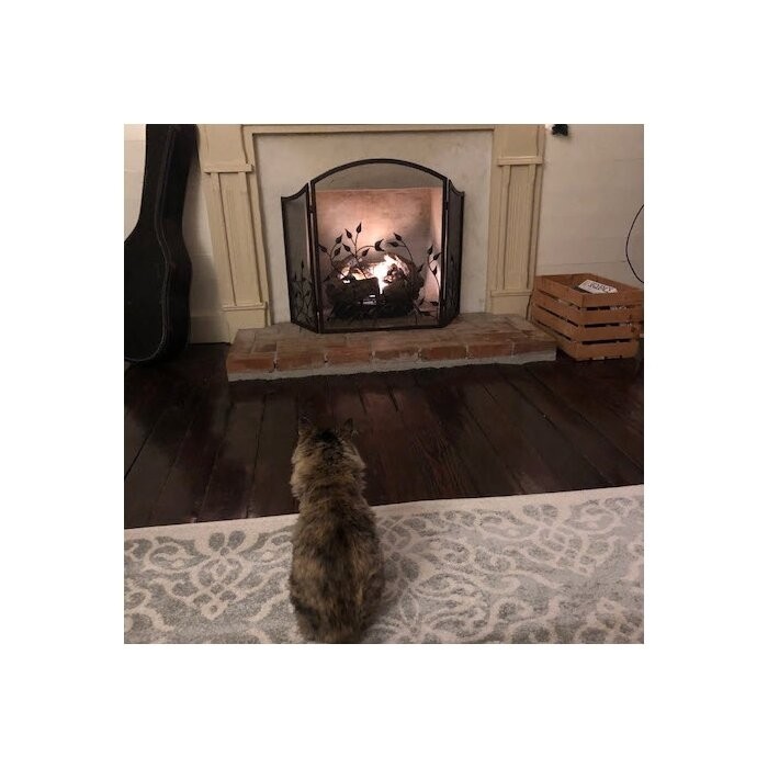 Kestrel 3 Panel Steel Fireplace Screen