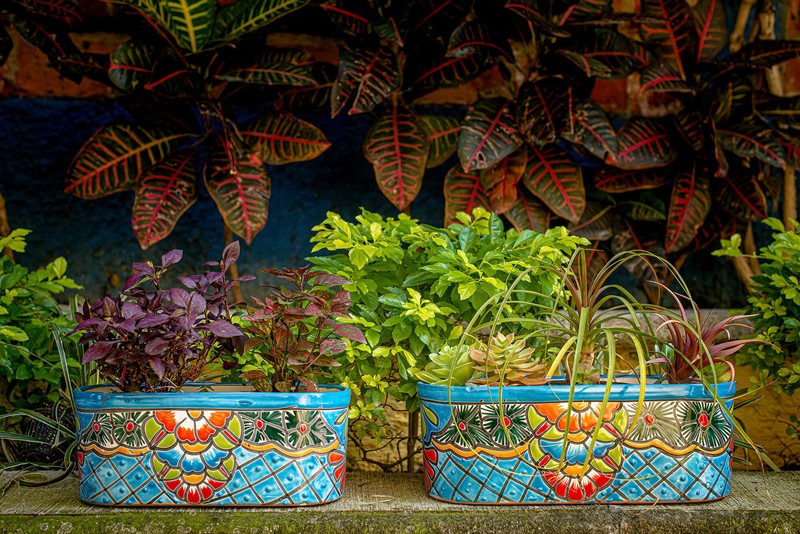 Ledge Ceramic Pot Planter