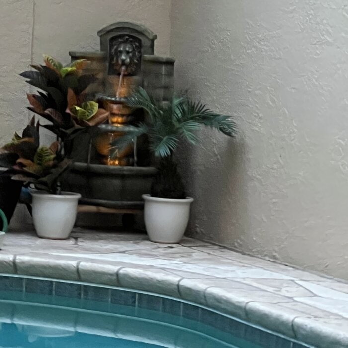 Lion Corner Fountain with LED Light