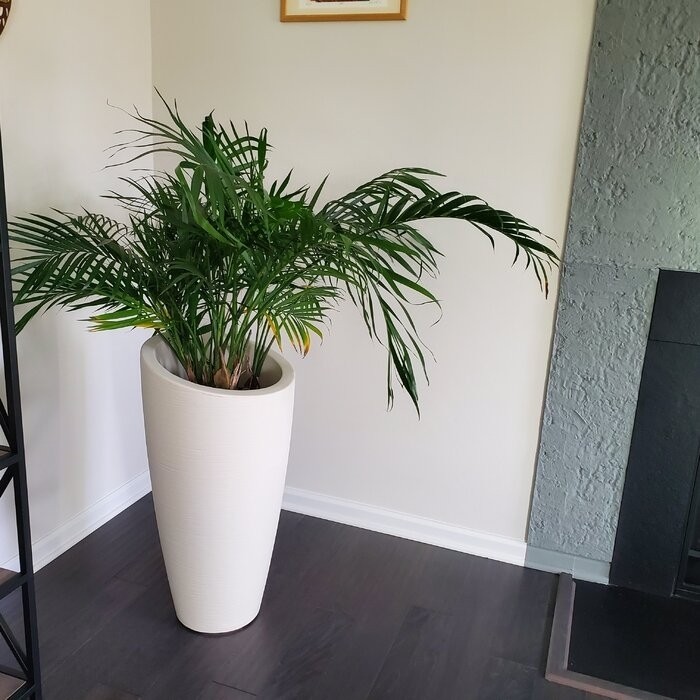 Marazzi Plastic Pot Planter