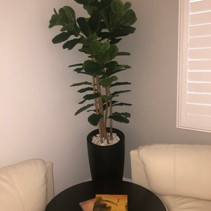 Marazzi Plastic Pot Planter