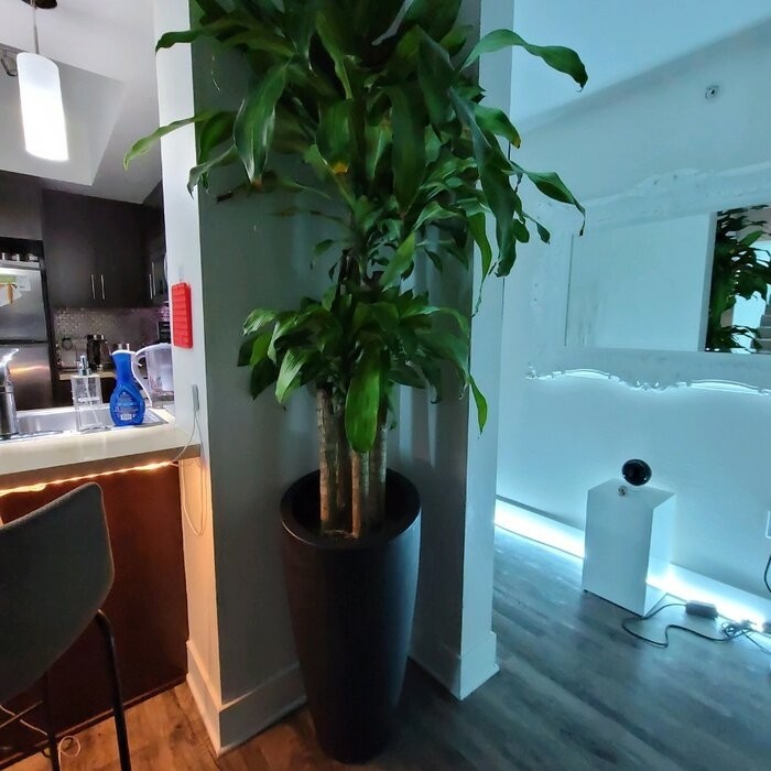 Marazzi Plastic Pot Planter