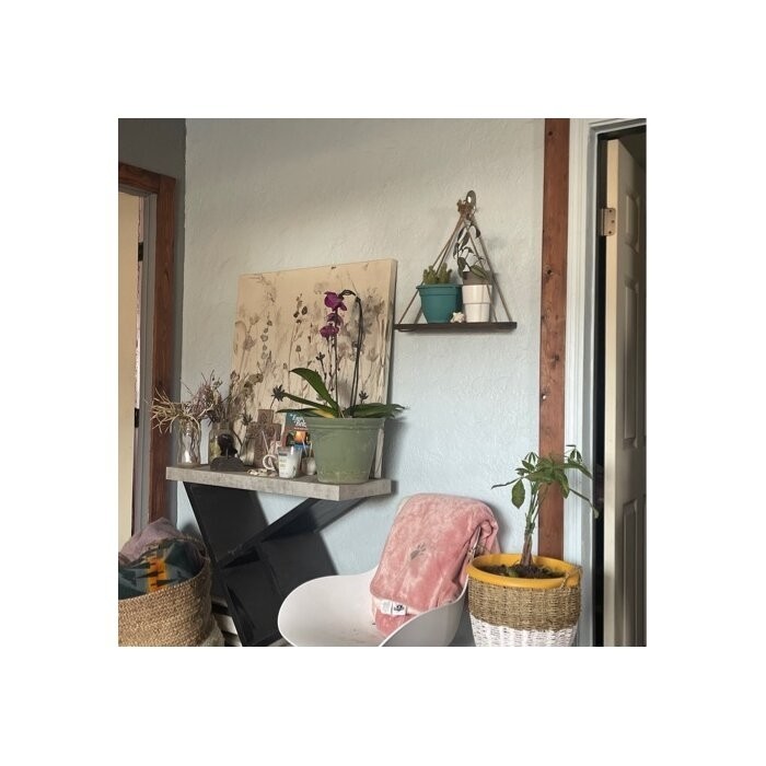 Mcspadden 2 Piece Triangle Solid Wood Floating Shelf