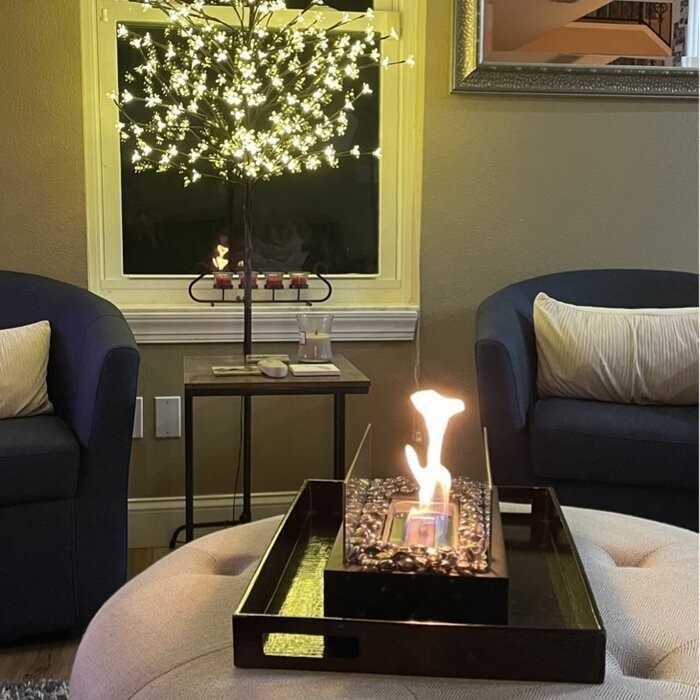 Metal Bio-Ethanol Outdoor Tabletop Fireplace with Flame Guard