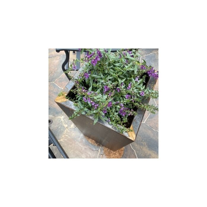 Metallic Series Corten Steel Pot Planter