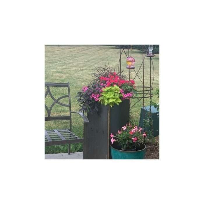 Metallic Series Corten Steel Pot Planter