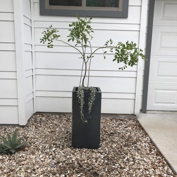 Metallic Series Corten Steel Pot Planter