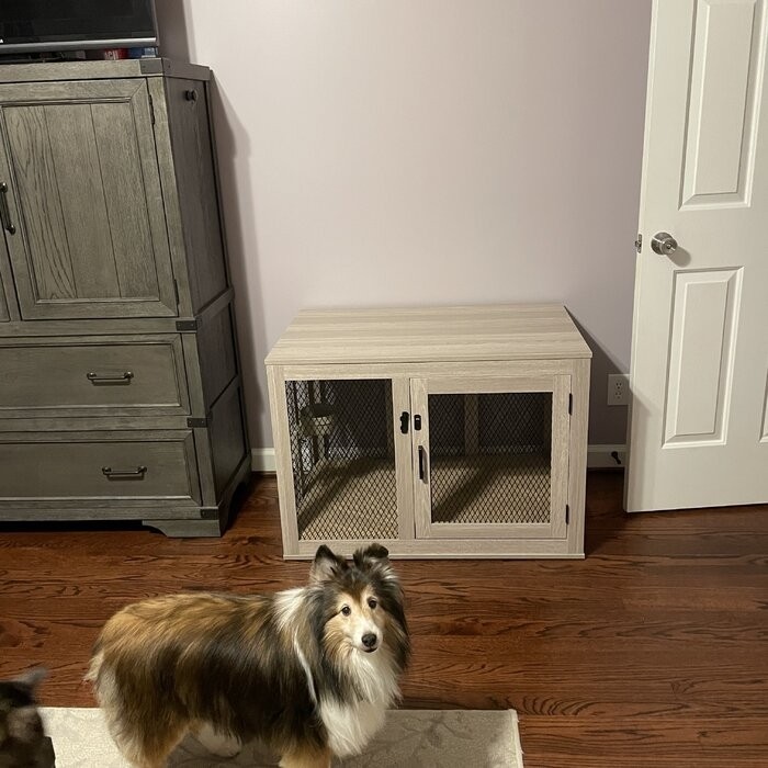 Modern And Sophisticated Pet Crate