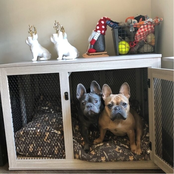 Modern And Sophisticated Pet Crate