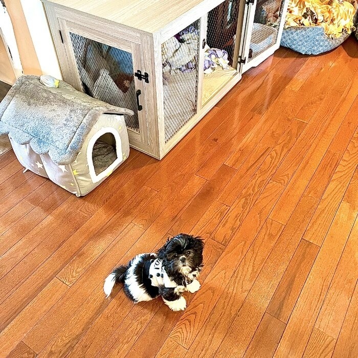 Modern And Sophisticated Pet Crate
