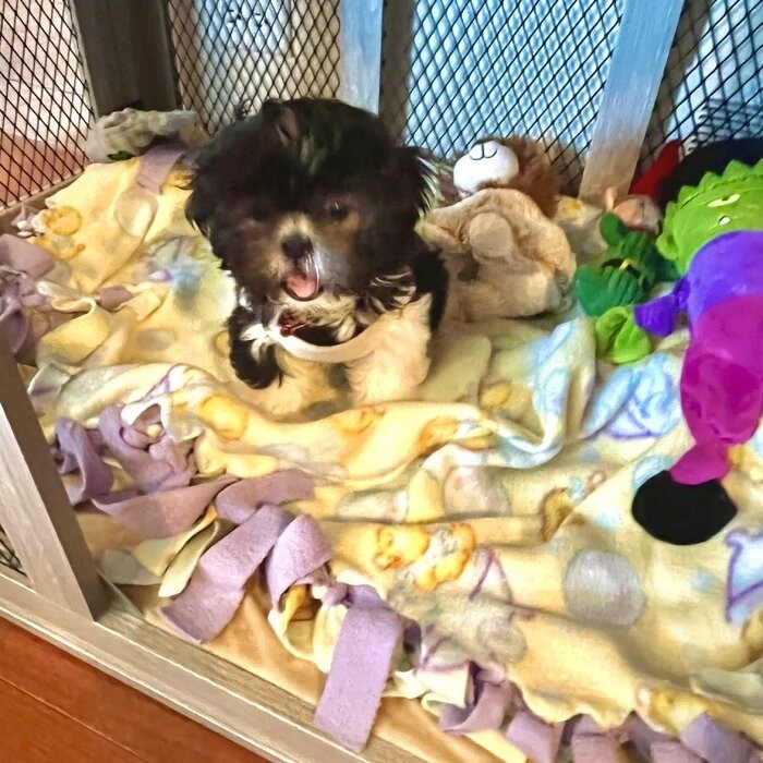 Modern And Sophisticated Pet Crate