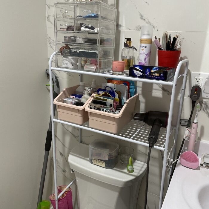 Morningside 23'' W x 54'' H x 11'' D Over-The-Toilet Storage
