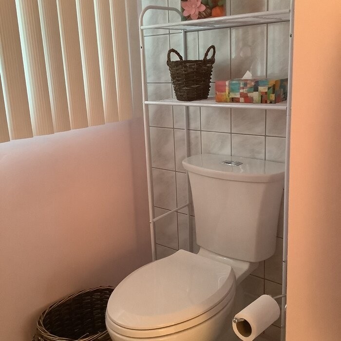 Morningside 23'' W x 54'' H x 11'' D Over-The-Toilet Storage