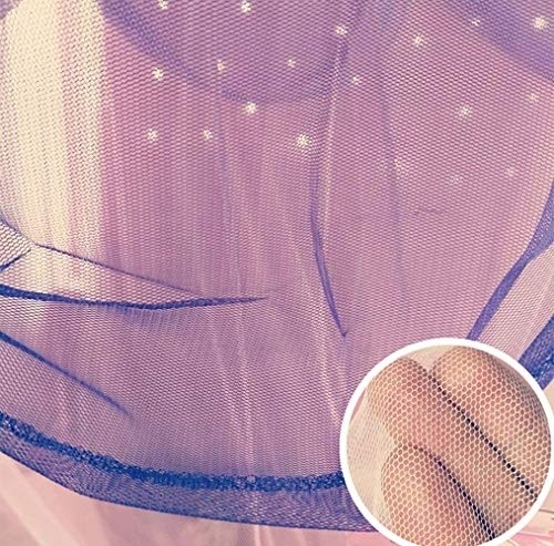 Nattey Comfort Blue Star Lace Mosquito Net Bed Canopy Curtain for Girls Toddler Bed Canopy for Girls Bed (Purple and Pink), Fire Retardant Fabric