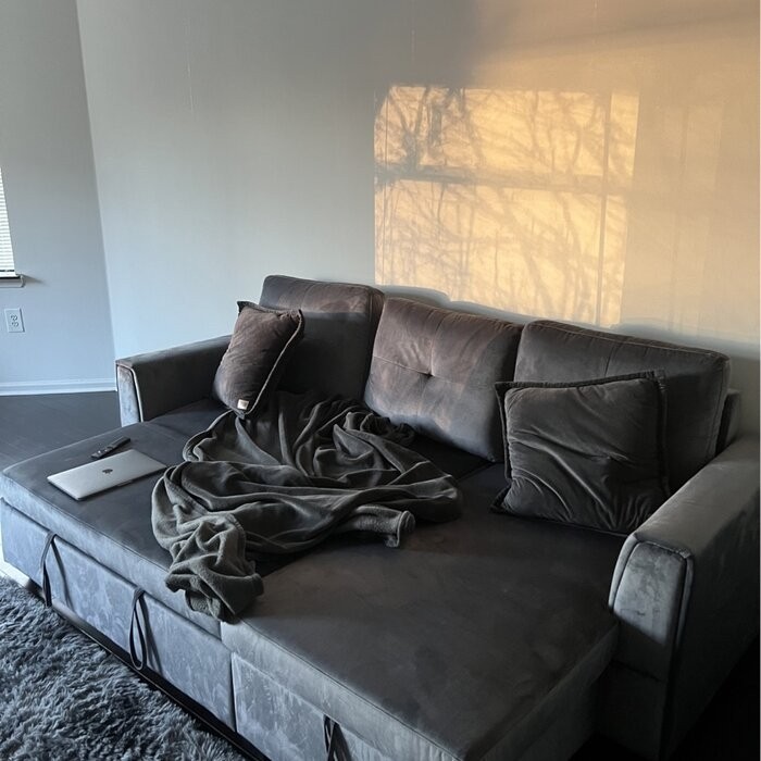 Nelda 91" Velvet Round Arm Sofa Bed with Chaise