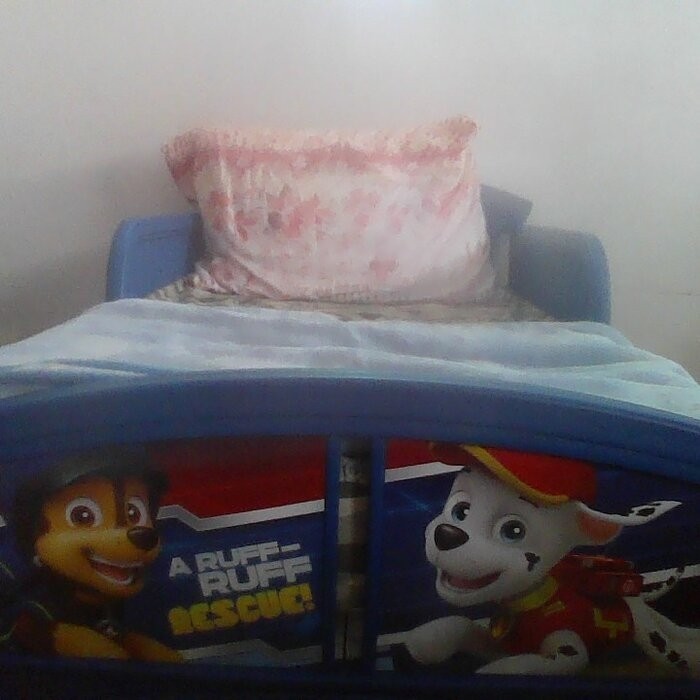 Nick Jr. PAW Convertible Toddler Bed