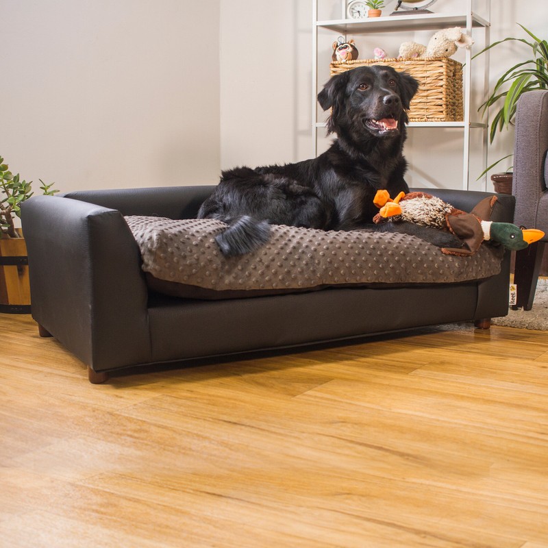 Ozzie Dog Sofa
