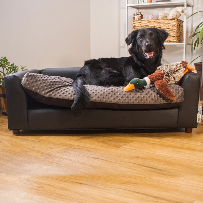Ozzie Dog Sofa