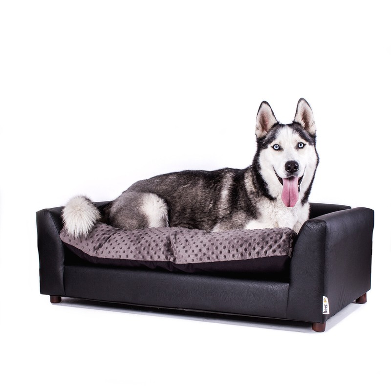 Ozzie Dog Sofa