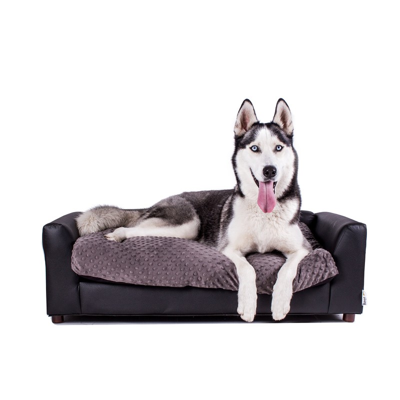 Ozzie Dog Sofa