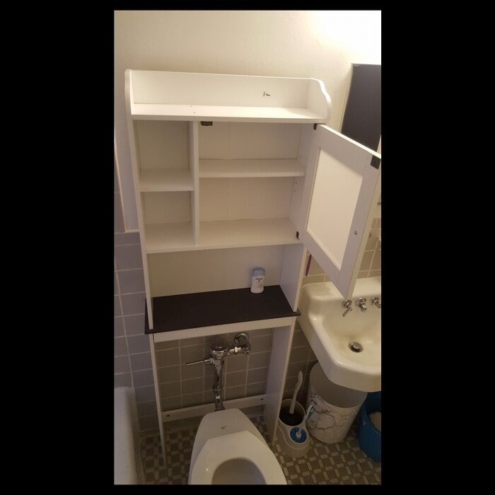 Pinecrest 23.3'' W Over-The-Toilet Storage