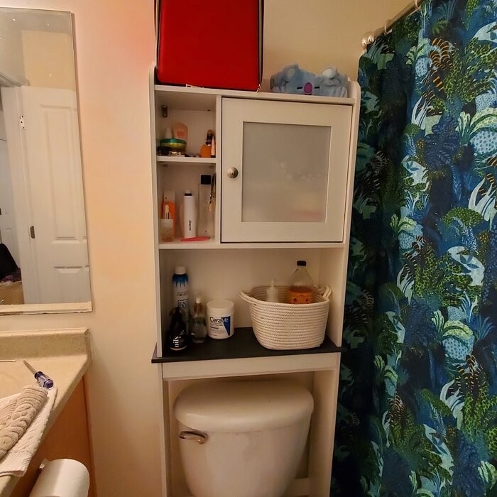 Pinecrest 23.3'' W Over-The-Toilet Storage
