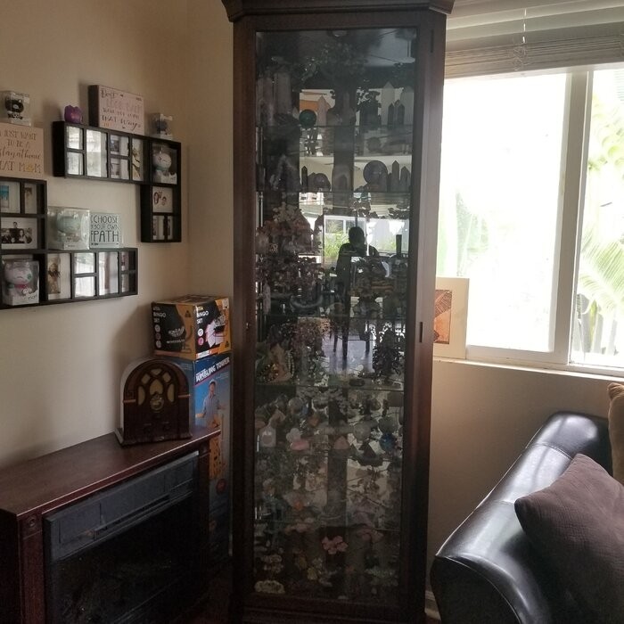 Pranav 28'' Wide Mirrored Back Curio Cabinet with Lighting
