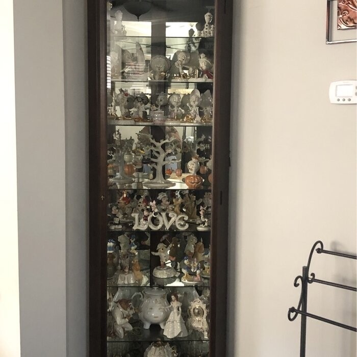 Pranav 28'' Wide Mirrored Back Curio Cabinet with Lighting