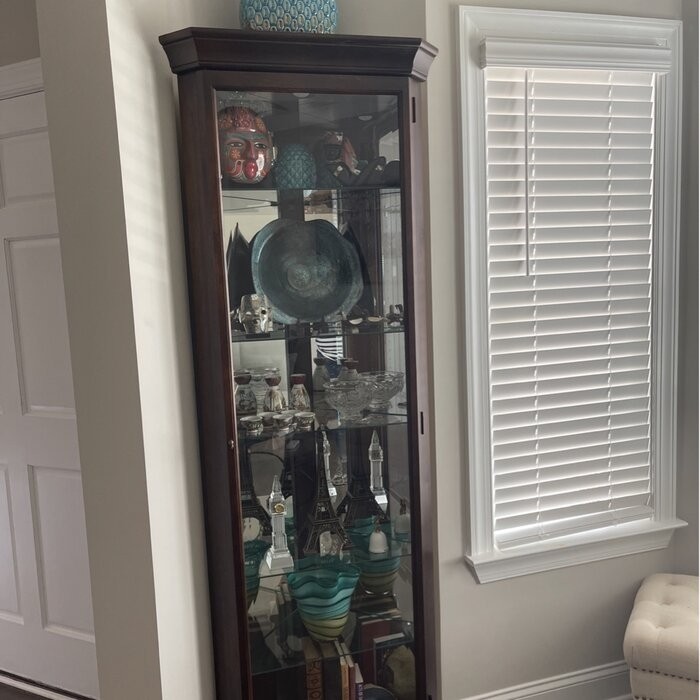 Pranav 28'' Wide Mirrored Back Curio Cabinet with Lighting