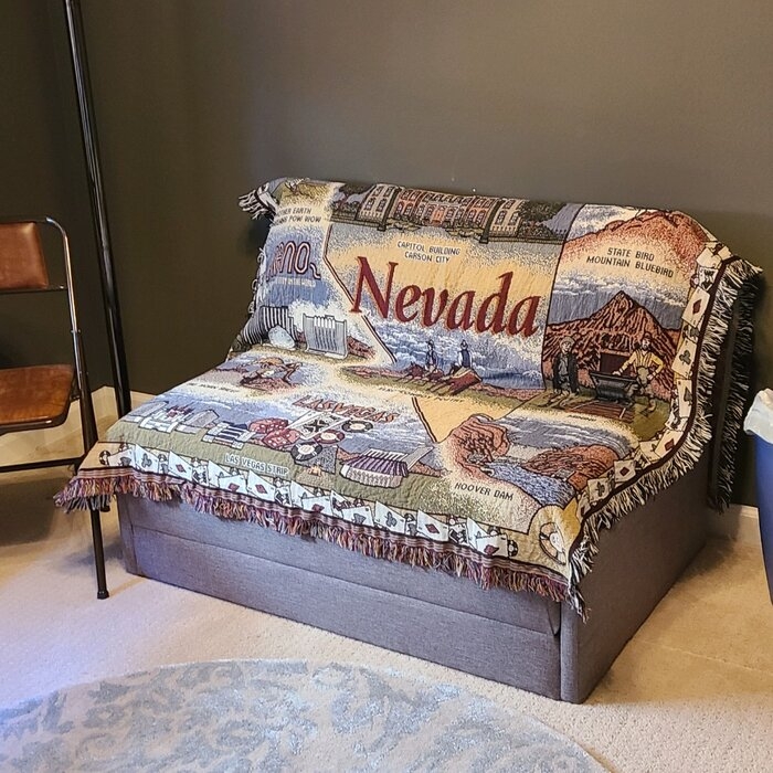 Sabine 43.31'' Armless Sofa Bed
