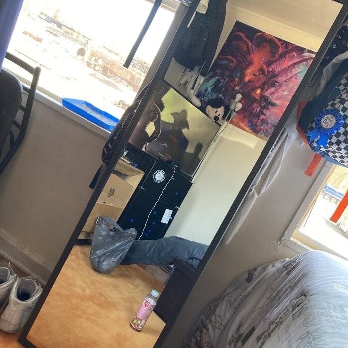Sashya Full Length Mirror
