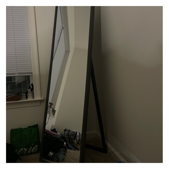 Sashya Full Length Mirror