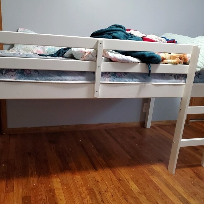 Schlemmer Twin Loft Bed by Harriet Bee