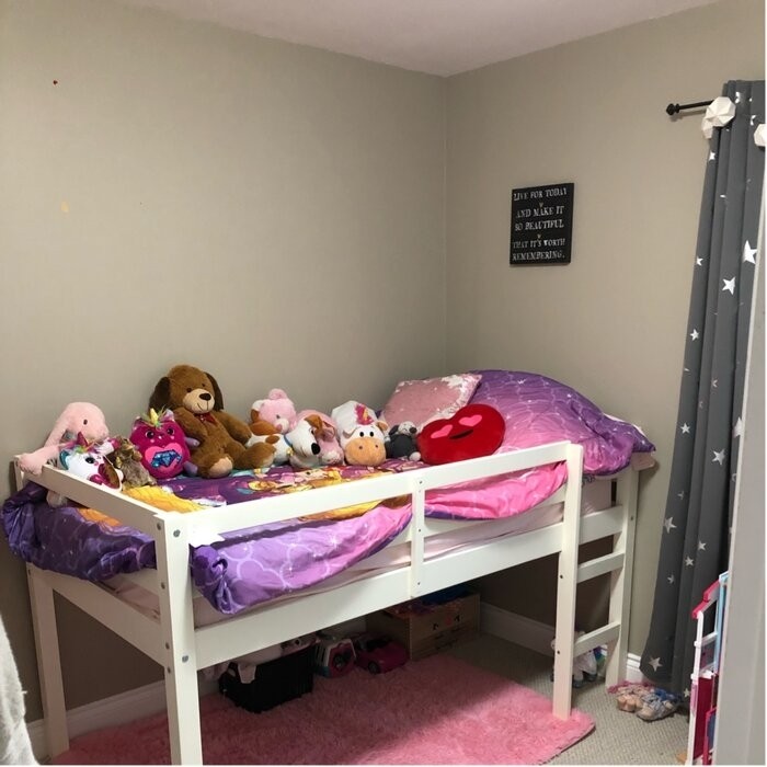 Schlemmer Twin Loft Bed by Harriet Bee