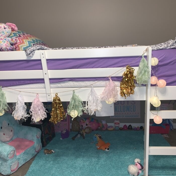 Schlemmer Twin Loft Bed by Harriet Bee