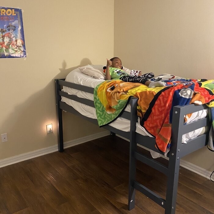 Schlemmer Twin Loft Bed by Harriet Bee