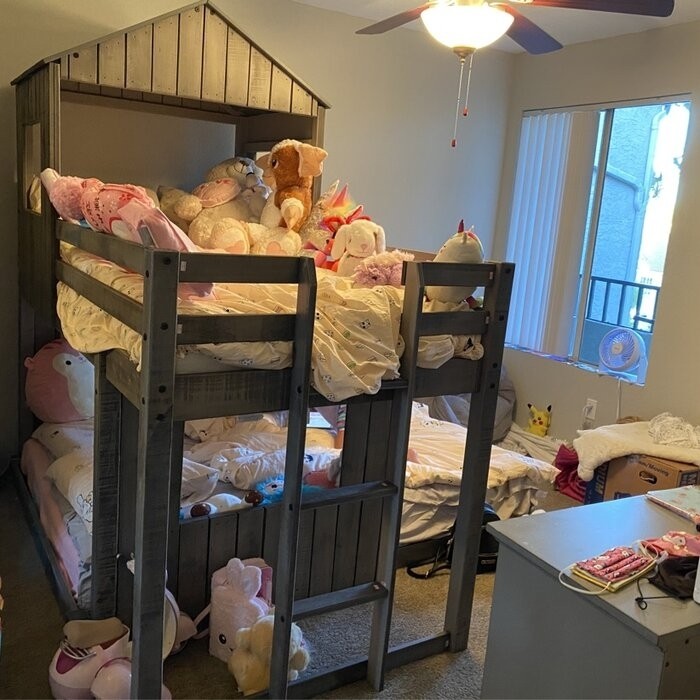 Scholl Twin Over Full Solid Wood Loft Bed by Zoomie Kids