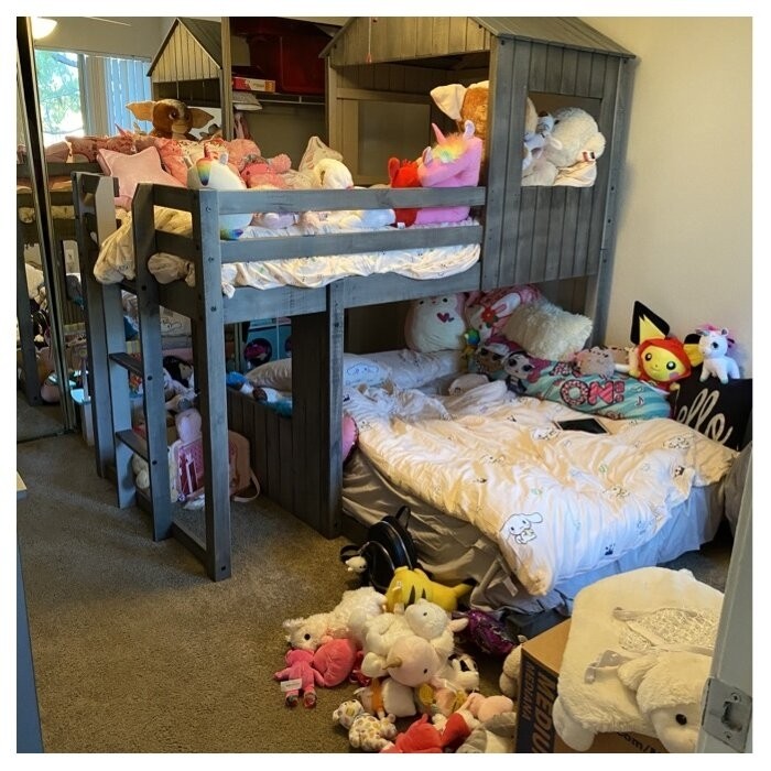 Scholl Twin Over Full Solid Wood Loft Bed by Zoomie Kids