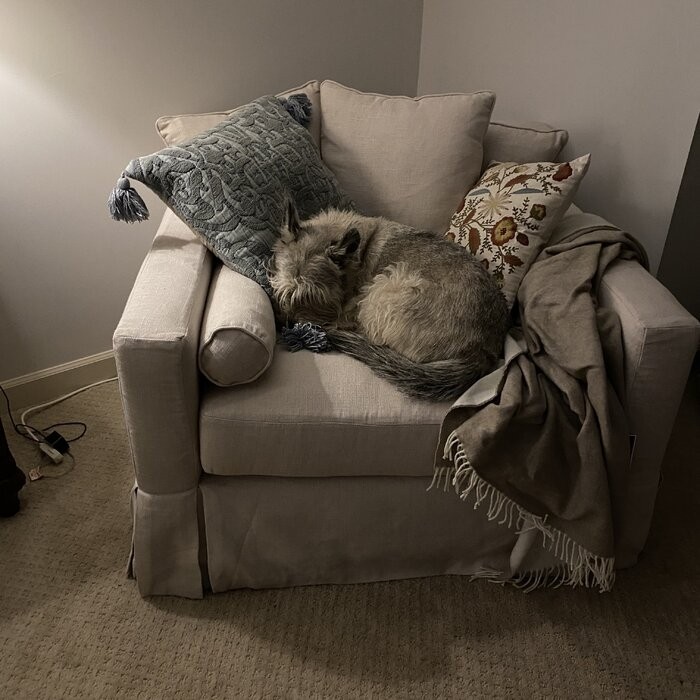 Seahaven 45'' Wide Slipcovered Chair And A Half