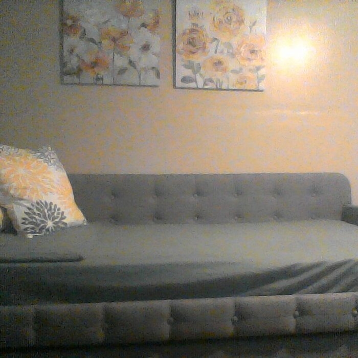 Seraphine Twin Daybed with Trundle