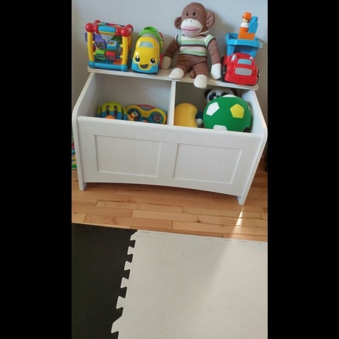 Snio Toy Box with Section Divider