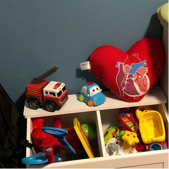 Snio Toy Box with Section Divider