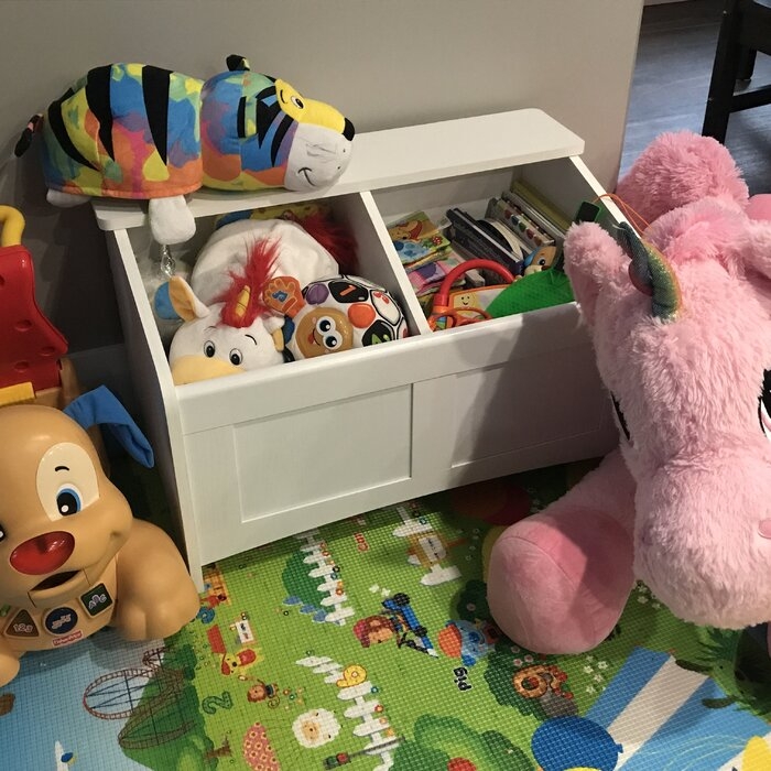 toy box with section divider