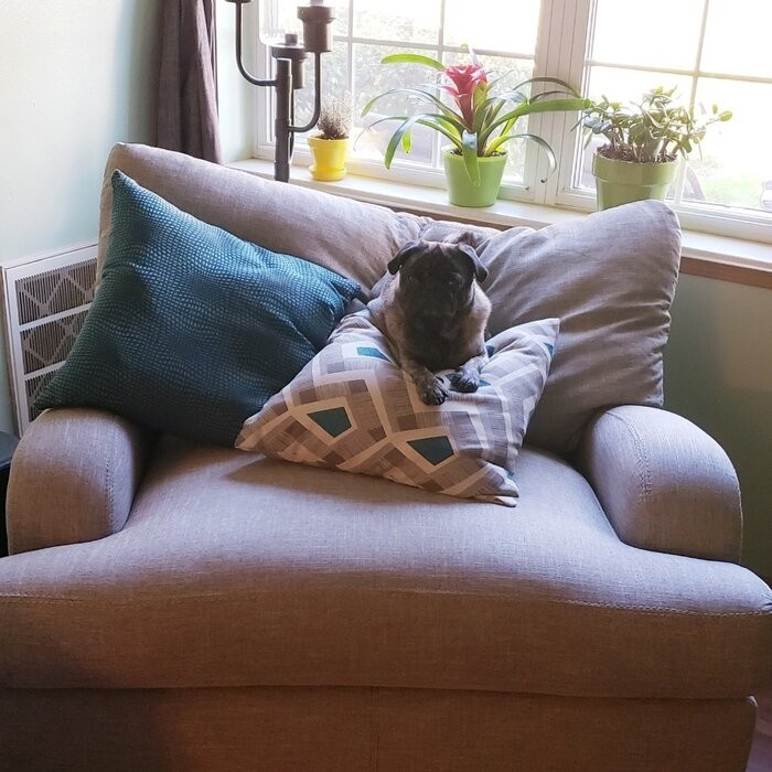 Somerville 48'' Wide Armchair