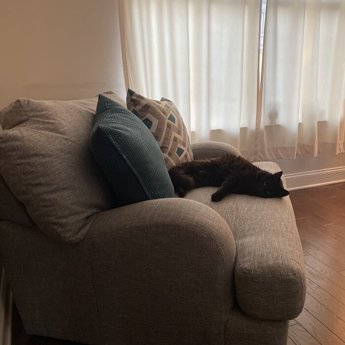 Somerville 48'' Wide Armchair